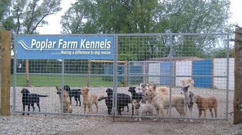Poplar Farm Rescue Kennels photo
